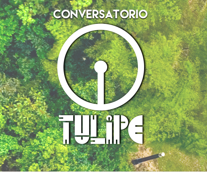 Tulipe boletin 16022018