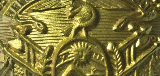 banner boletinpng 04112017