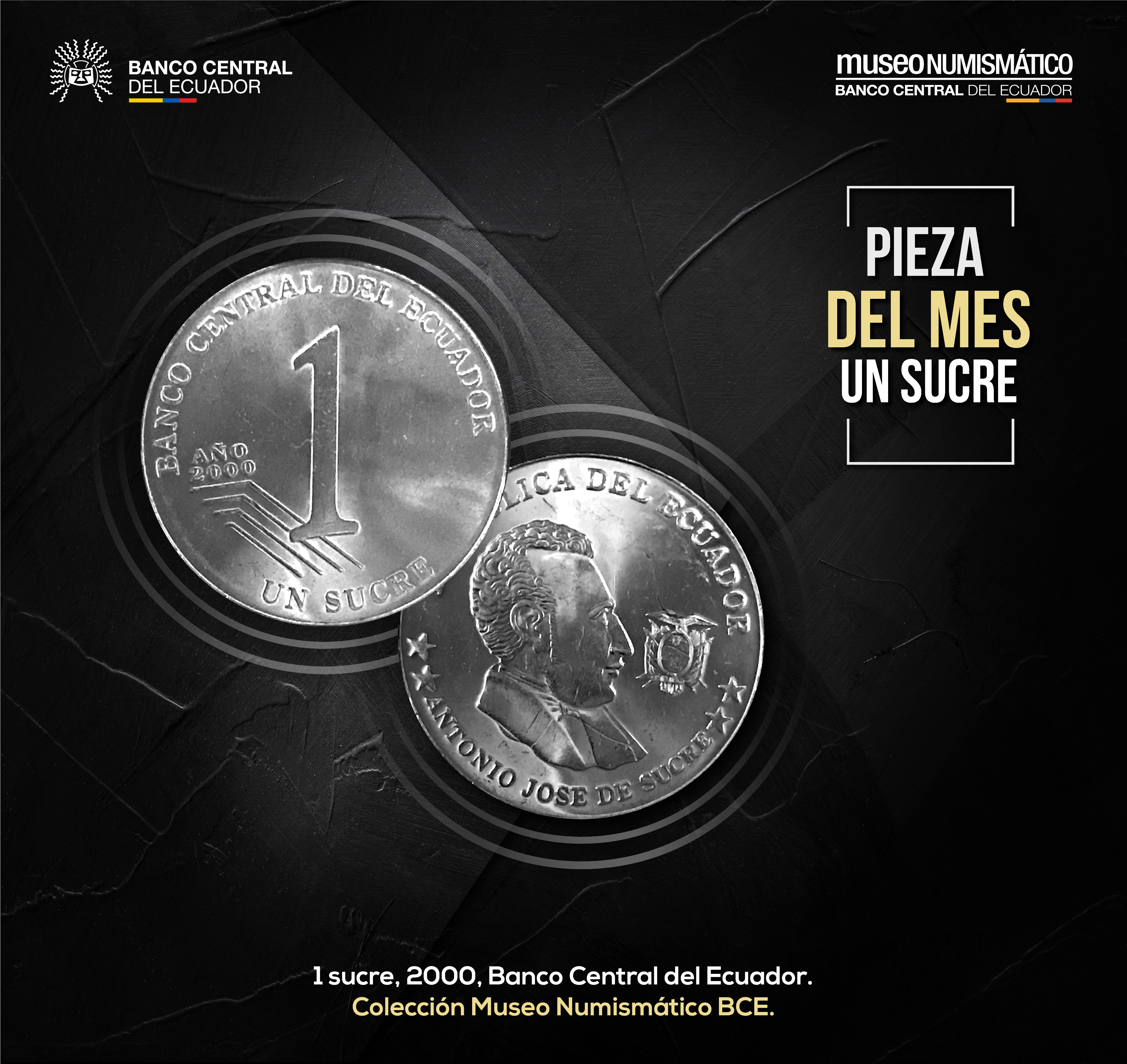 pieza mes noviembre2019